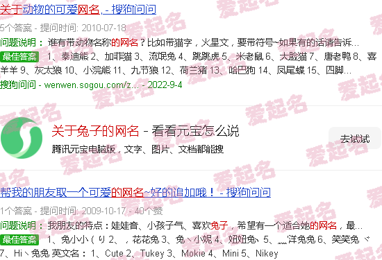 关于兔子的网名搞笑 - 关于兔子的网名