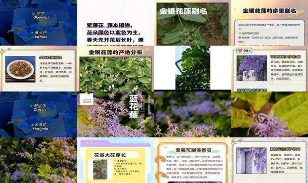 花藤名字怎么加特殊符号 - 花藤名字