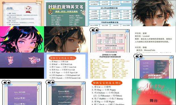 炫舞宠物名字英文 - 炫舞宠物名字英文