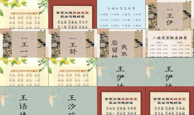 王姓女孩名字大全 - 王姓女孩名字大全