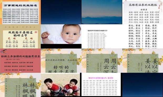 双胞胎男孩名字是一对成语 - 双胞胎男孩名字