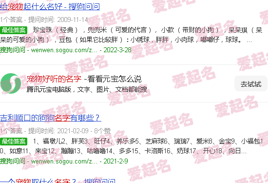 宠物好听的名字女孩 - 宠物好听的名字