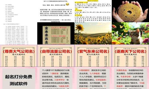 瓷都免费测公司名称吉凶 - 测公司名称吉凶