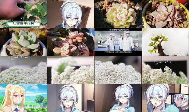 熊猫1108杨雪蕾 - 雪蕾