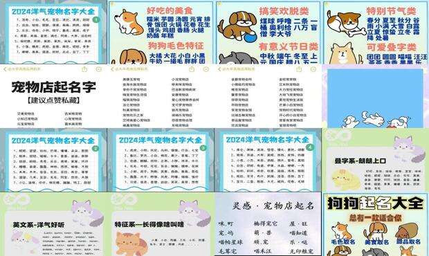 好听宠物名字411个 - 好听宠物名字