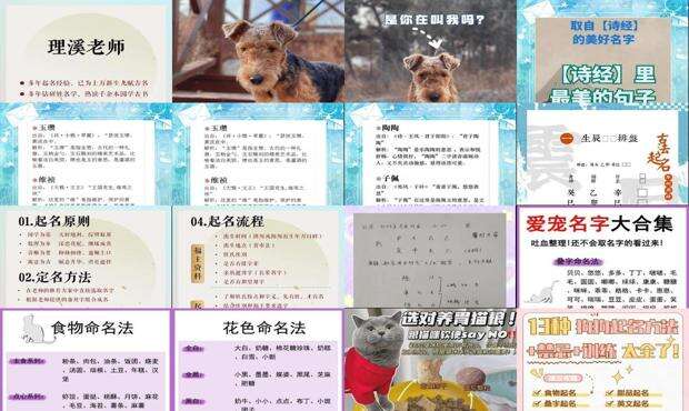 起名方法五格法 - 起名方法