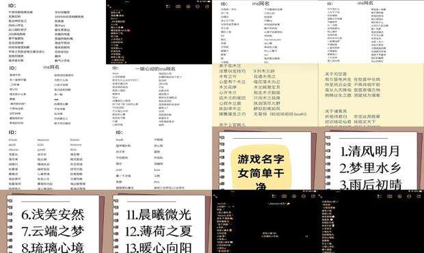 洋气的游戏名称 - 洋气的游戏名字