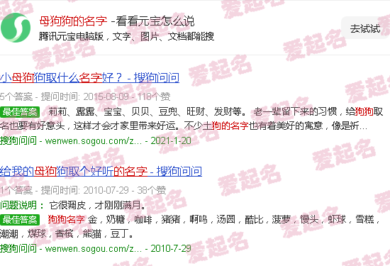 母狗狗的名字有福气 - 母狗狗的名字