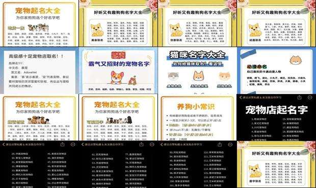 宠物取名英文 - 宠物取名