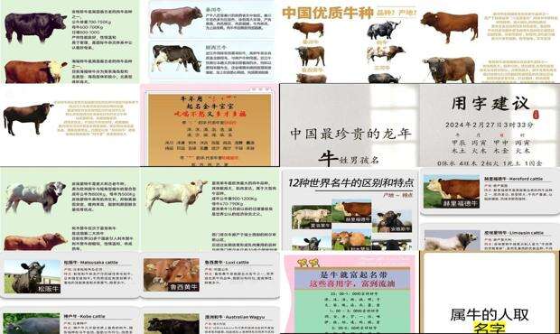 牛名字大全霸气的餐厅 - 牛名字