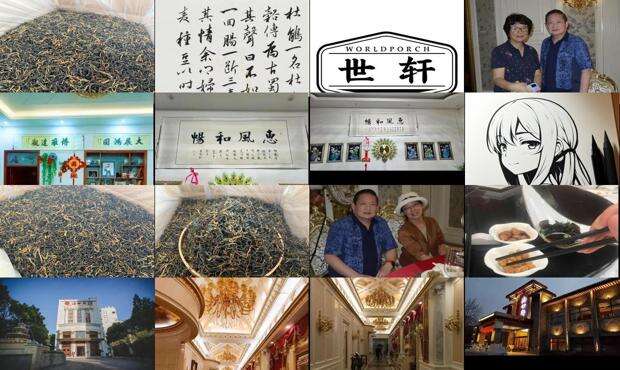 世轩科技股份有限公司 - 世轩