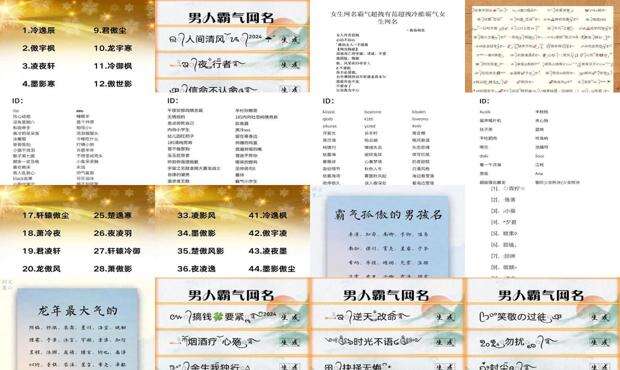 霸气的名字男生冷酷 - 霸气的名字