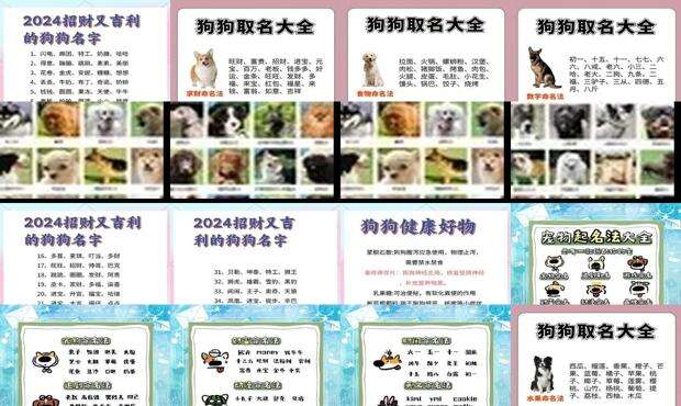 给宠物狗起名字男孩 - 给宠物狗起名字