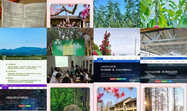 桃园名字最简单三个字 - 桃园名字