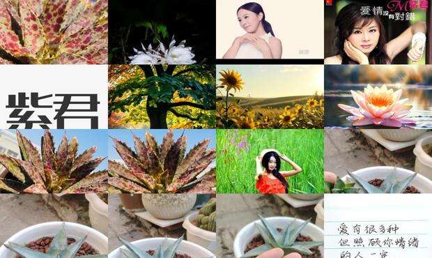 紫郡兰园 - 紫君