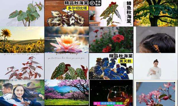 雅秋是谁 - 雅秋