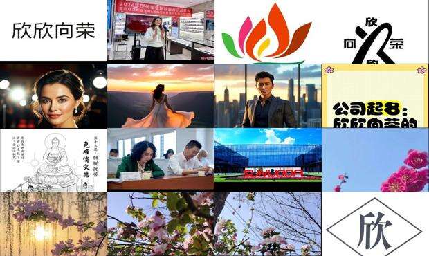 欣向荣有限公司 - 欣向