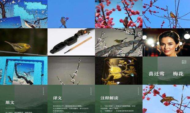 梅莺什么寓意 - 梅莺