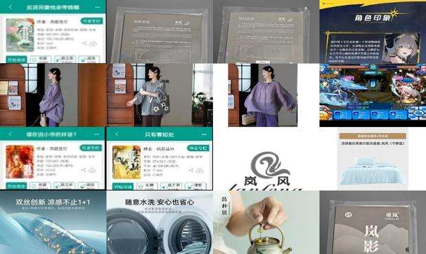 岚风游戏 - 岚风