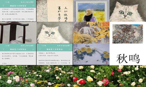 秋鸣小说 - 秋鸣