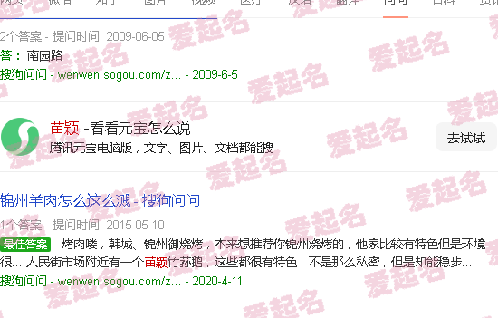 苗颖竹荪鹅创始人 - 苗颖