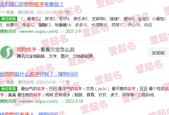 狗狗名字大全 洋气点的 - 狗狗名字