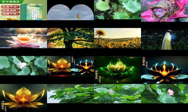 荷灵菇图片 - 荷灵