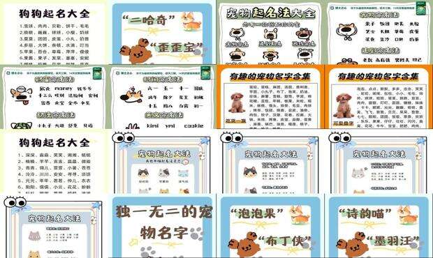 可爱的宠物名字有哪些 - 可爱的宠物名字