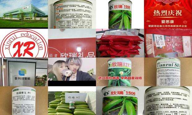 欣瑞名字意思是什么 - 欣瑞