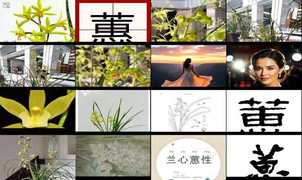 蕙字康熙字典多少画五行属什么 - 蕙