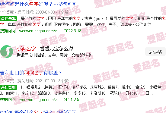 小狗名字好听又可爱 - 小狗名字