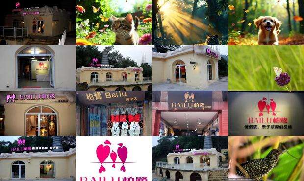 柏鹭工具有限公司 - 柏鹭