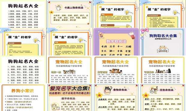 给狗取名字什么名字寓意很好 - 狗起名字