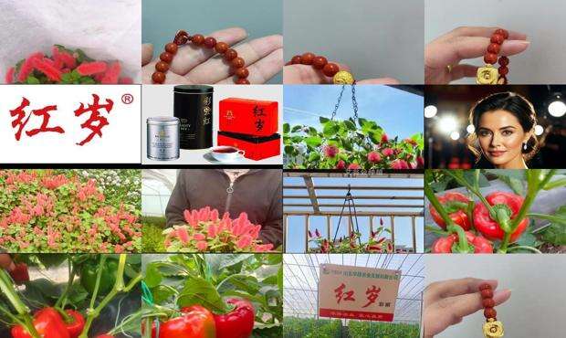 红岩主要内容 - 红岁