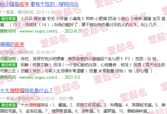 宠物猫名字大全 - 宠物猫名字大全