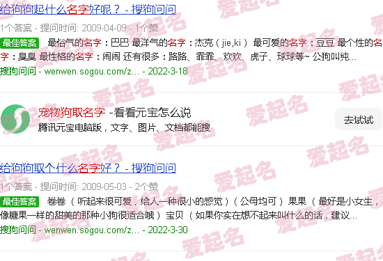 宠物狗取名字叫什么好 - 宠物狗取名字