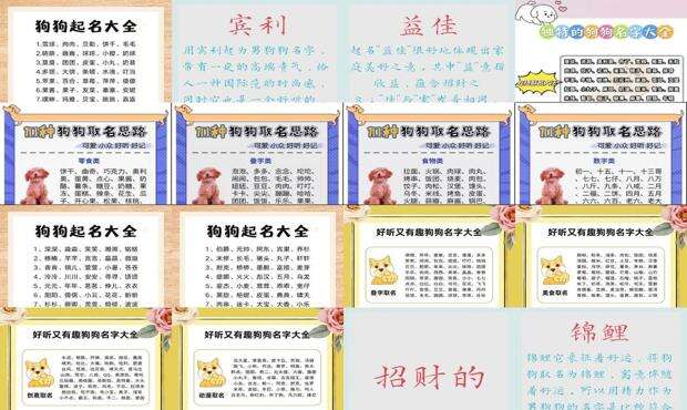 宠物狗取名字叫什么好 - 宠物狗取名字