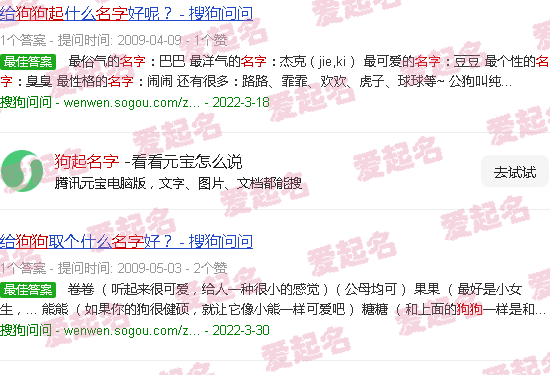 给狗取名字什么名字寓意很好 - 狗起名字