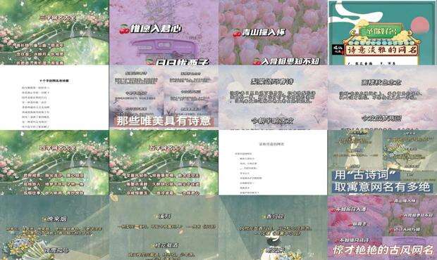 诗意淡雅的网名海棠 - 诗意淡雅的网名