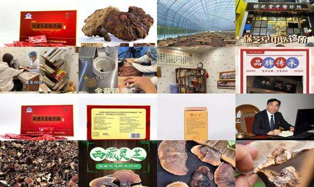 保芝堂中医诊所 - 保芝