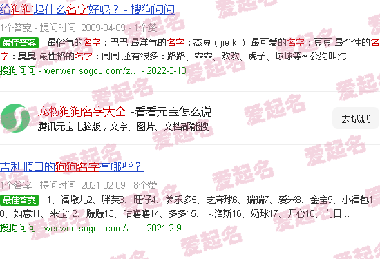 宠物狗狗名字大全泰迪 - 宠物狗狗名字大全