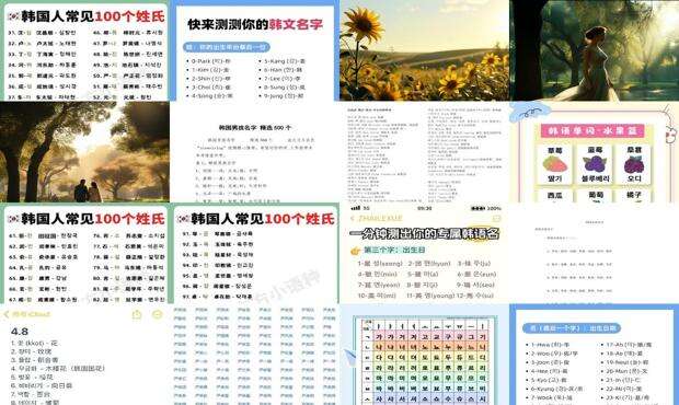 韩国好听的名字女孩三个字 - 韩国好听的名字