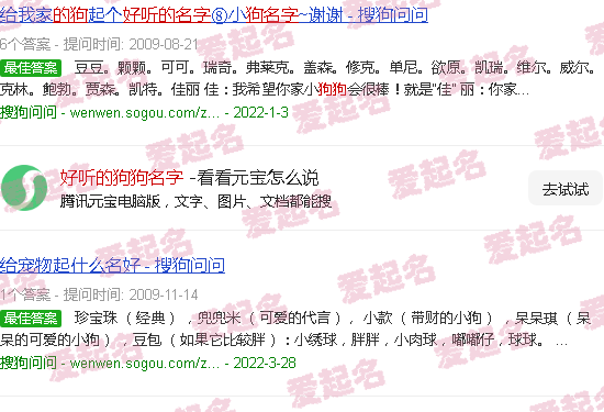 好听的狗狗名字母狗 - 好听的狗狗名字