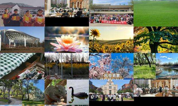 远芳侵古道的整首古诗 - 远芳