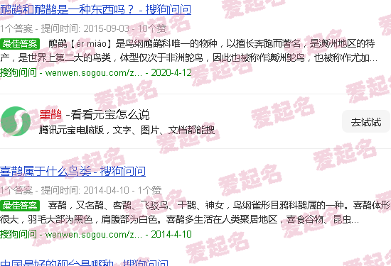 墨鹊头像 - 墨鹊