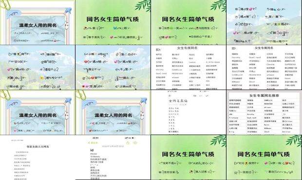 好听的网名 - 女的网名