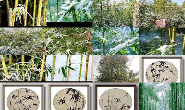 冬竹小说 - 冬竹