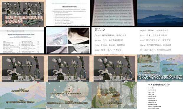 简短有意义的英文缩写 - 简短有意义的英文id