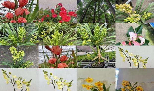 立清宁乳膏的作用 - 立青