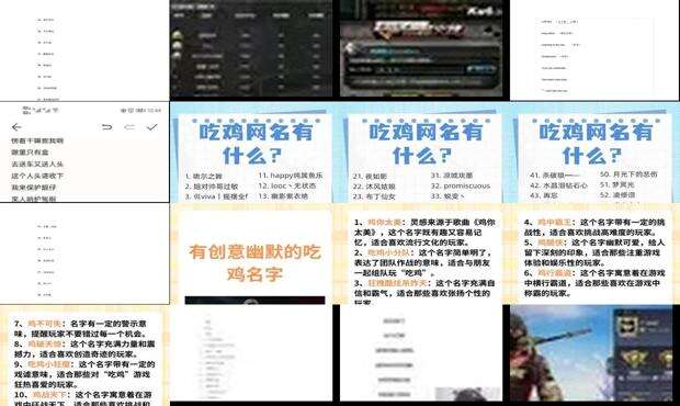 有意思比较皮的吃鸡名字 - 吃鸡最皮名字